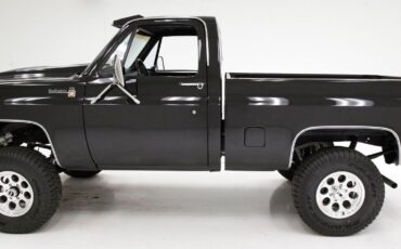 Chevrolet-Other-Pickups-Pickup-1979-Black-Saddle-143631-1