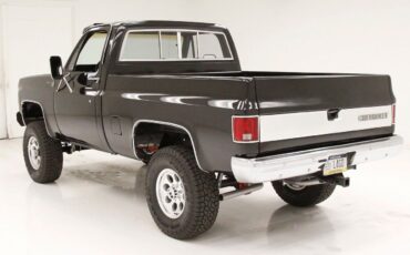 Chevrolet-Other-Pickups-Pickup-1979-Black-Saddle-143631-2