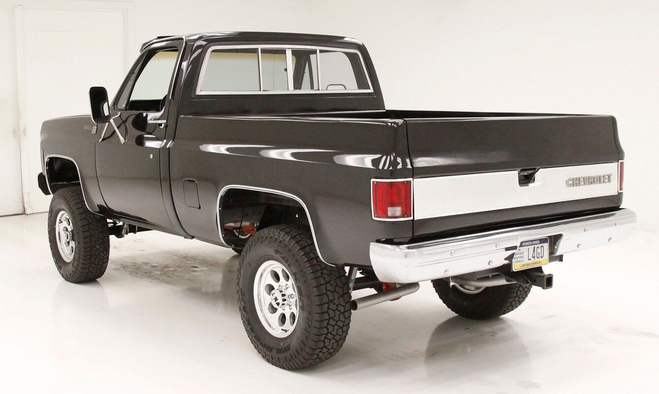 Chevrolet-Other-Pickups-Pickup-1979-Black-Saddle-143631-2