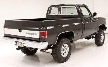 Chevrolet-Other-Pickups-Pickup-1979-Black-Saddle-143631-3