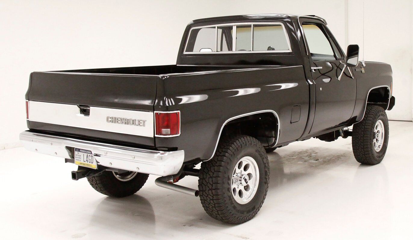 Chevrolet-Other-Pickups-Pickup-1979-Black-Saddle-143631-3