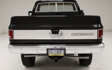 Chevrolet-Other-Pickups-Pickup-1979-Black-Saddle-143631-4