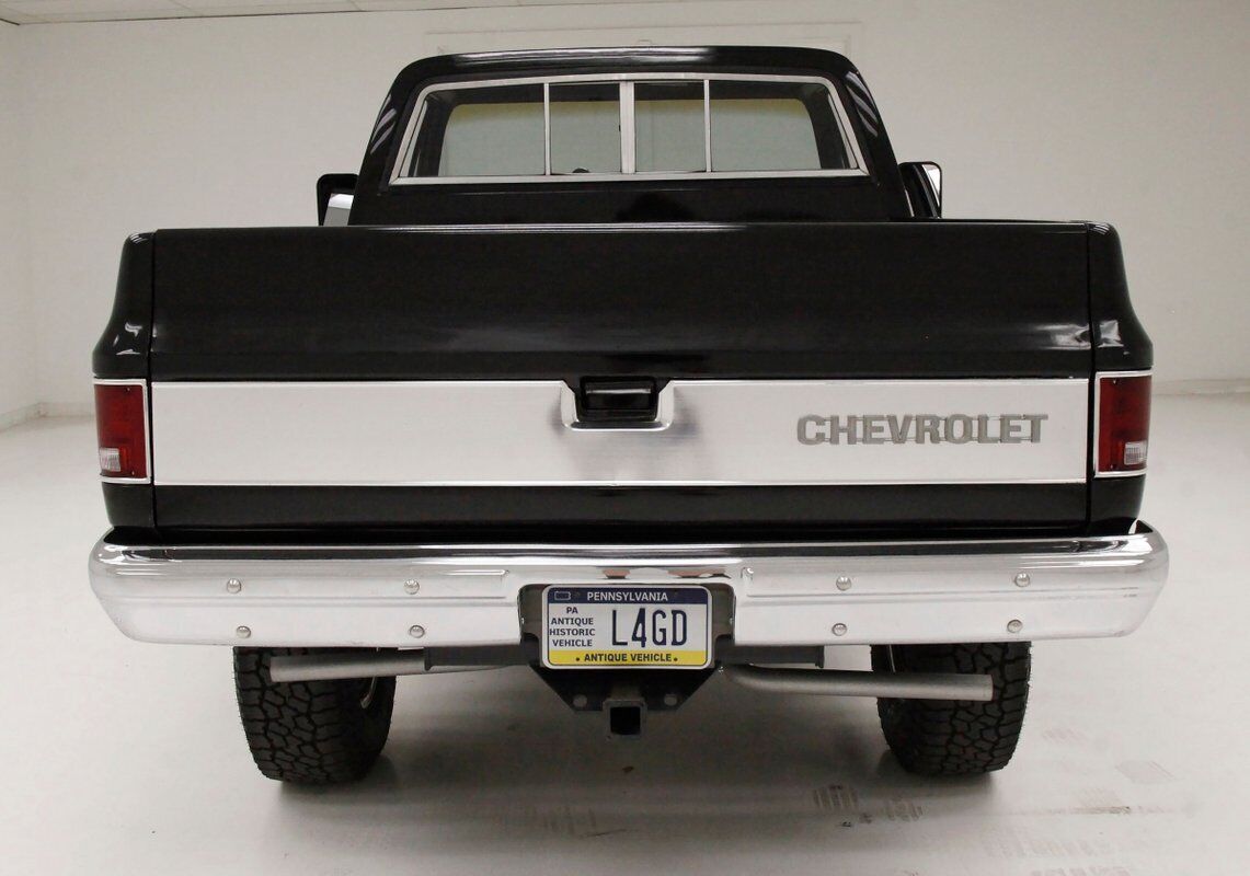 Chevrolet-Other-Pickups-Pickup-1979-Black-Saddle-143631-4