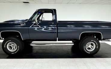 Chevrolet-Other-Pickups-Pickup-1979-Blue-Blue-141851-1