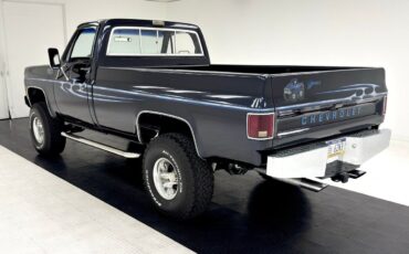 Chevrolet-Other-Pickups-Pickup-1979-Blue-Blue-141851-2