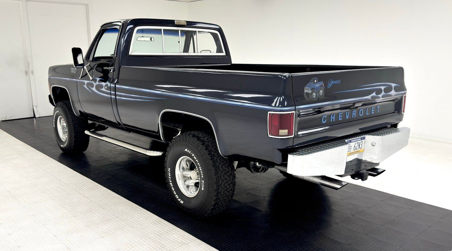 Chevrolet-Other-Pickups-Pickup-1979-Blue-Blue-141851-2