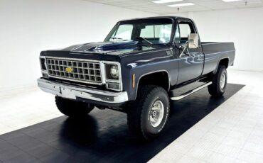 Chevrolet Other Pickups Pickup 1979