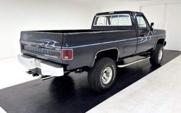 Chevrolet-Other-Pickups-Pickup-1979-Blue-Blue-141851-4