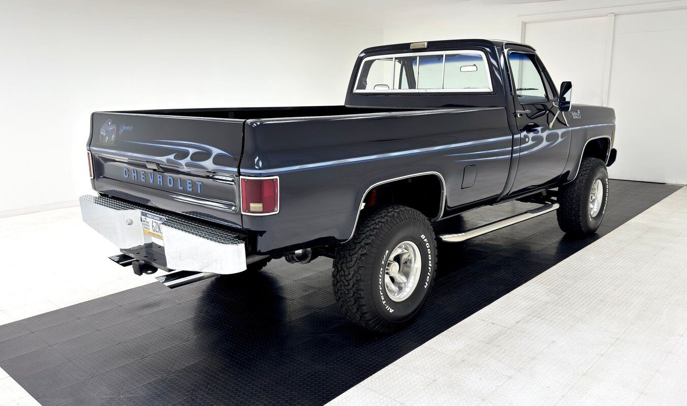 Chevrolet-Other-Pickups-Pickup-1979-Blue-Blue-141851-4