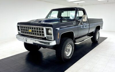 Chevrolet Other Pickups Pickup 1979 à vendre