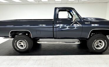 Chevrolet-Other-Pickups-Pickup-1979-Blue-Blue-141851-5