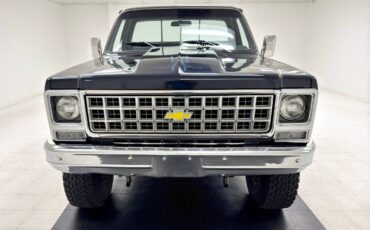 Chevrolet-Other-Pickups-Pickup-1979-Blue-Blue-141851-7