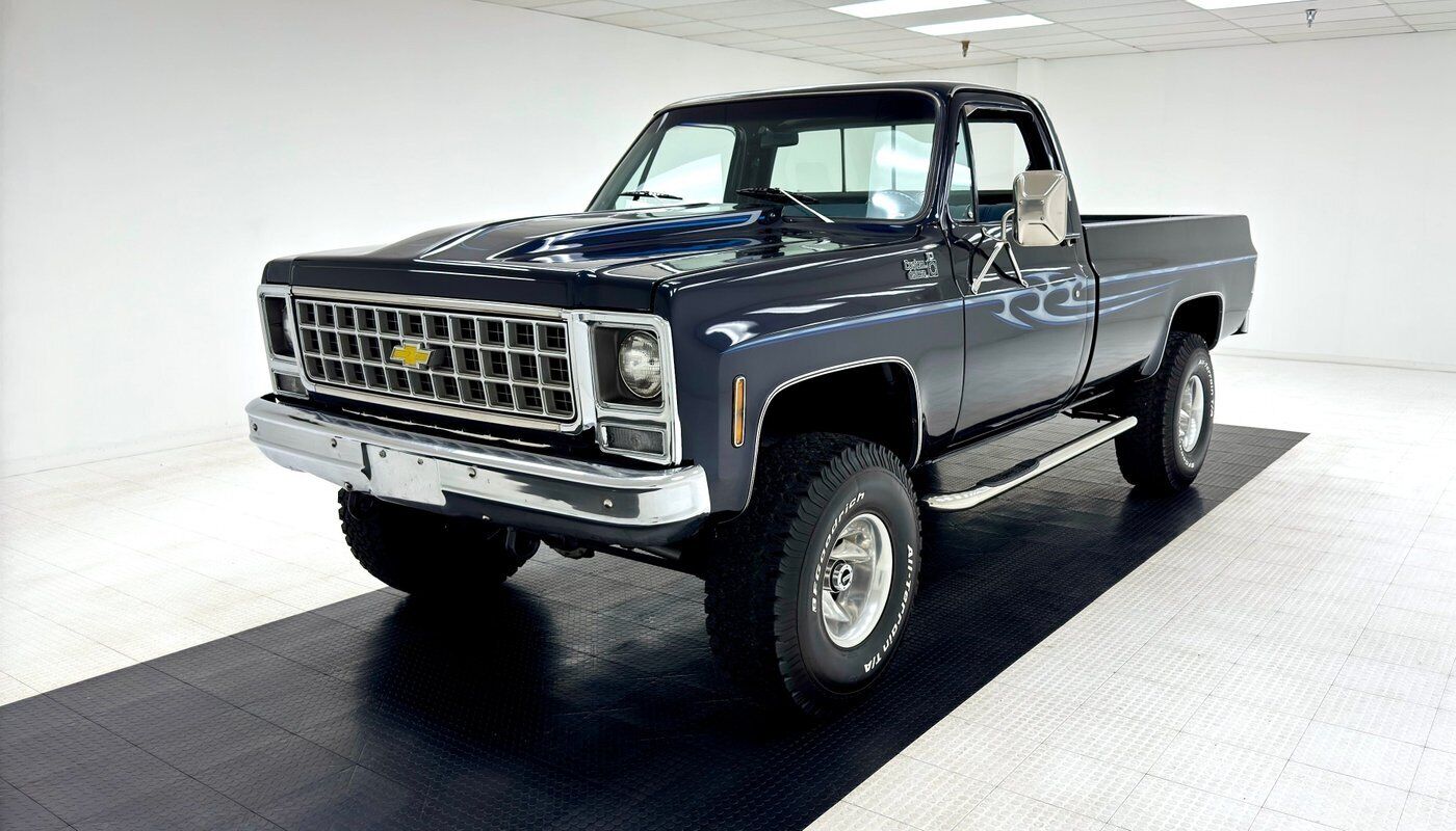 Chevrolet Other Pickups Pickup 1979