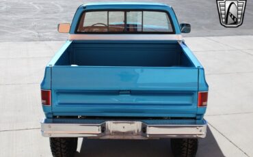 Chevrolet-Other-Pickups-Pickup-1980-Blue-Blue-47857-10