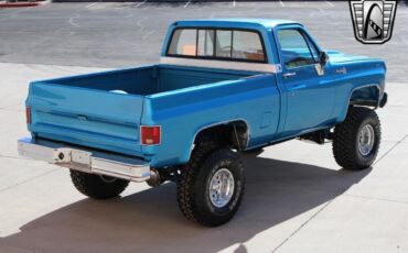 Chevrolet-Other-Pickups-Pickup-1980-Blue-Blue-47857-11