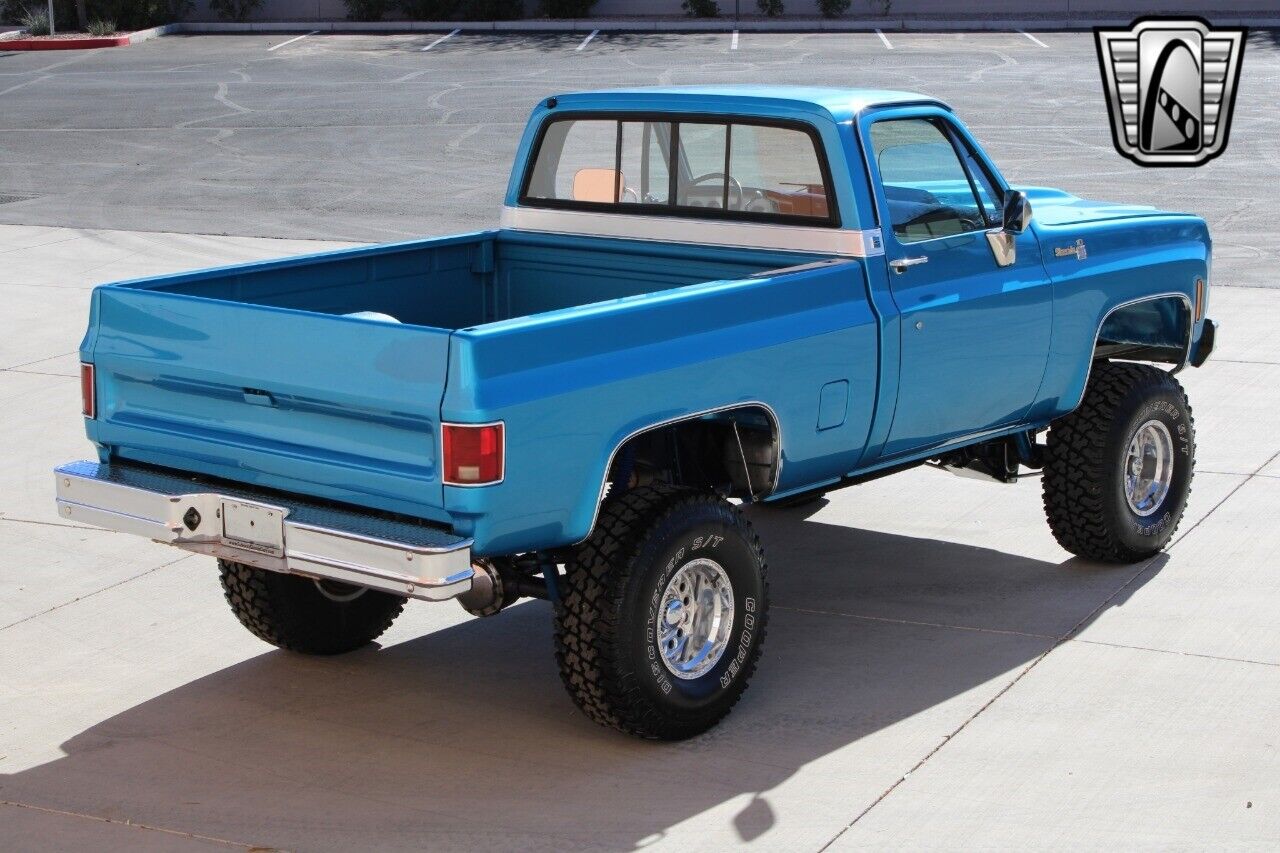 Chevrolet-Other-Pickups-Pickup-1980-Blue-Blue-47857-11