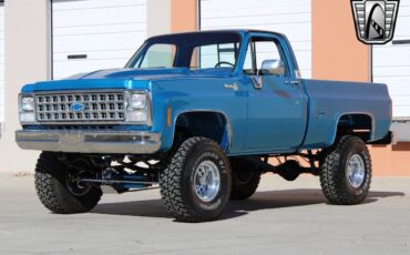 Chevrolet-Other-Pickups-Pickup-1980-Blue-Blue-47857-2