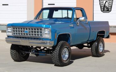 Chevrolet-Other-Pickups-Pickup-1980-Blue-Blue-47857-3