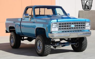 Chevrolet-Other-Pickups-Pickup-1980-Blue-Blue-47857-4