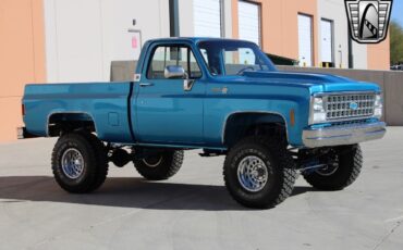 Chevrolet-Other-Pickups-Pickup-1980-Blue-Blue-47857-5