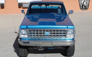 Chevrolet-Other-Pickups-Pickup-1980-Blue-Blue-47857-6