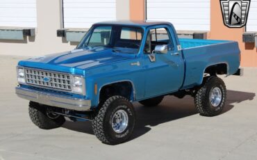 Chevrolet-Other-Pickups-Pickup-1980-Blue-Blue-47857-7