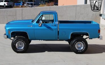 Chevrolet-Other-Pickups-Pickup-1980-Blue-Blue-47857-8