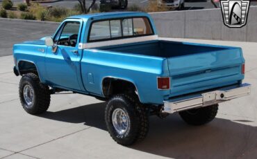 Chevrolet-Other-Pickups-Pickup-1980-Blue-Blue-47857-9