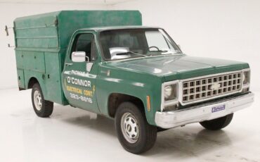 Chevrolet-Other-Pickups-Pickup-1980-Green-Green-158784-6