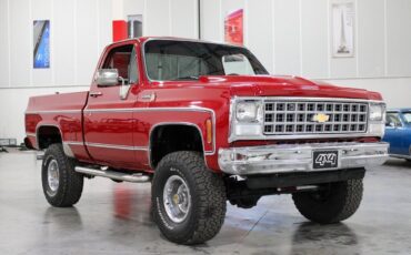 Chevrolet-Other-Pickups-Pickup-1980-Red-Red-114593-6