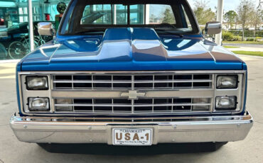 Chevrolet-Other-Pickups-Pickup-1981-Blue-Black-87387-1