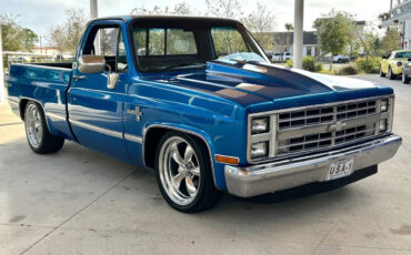 Chevrolet-Other-Pickups-Pickup-1981-Blue-Black-87387-2