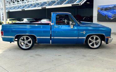 Chevrolet-Other-Pickups-Pickup-1981-Blue-Black-87387-3