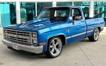 Chevrolet Other Pickups Pickup 1981