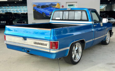 Chevrolet-Other-Pickups-Pickup-1981-Blue-Black-87387-4