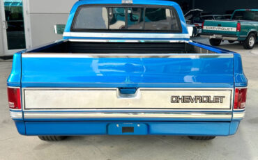 Chevrolet-Other-Pickups-Pickup-1981-Blue-Black-87387-5