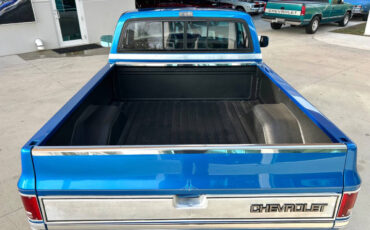 Chevrolet-Other-Pickups-Pickup-1981-Blue-Black-87387-6