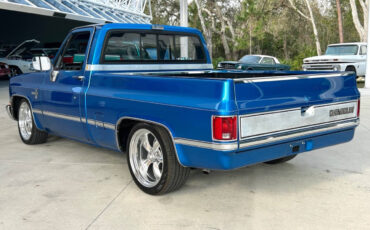 Chevrolet-Other-Pickups-Pickup-1981-Blue-Black-87387-7