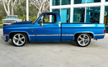 Chevrolet-Other-Pickups-Pickup-1981-Blue-Black-87387-8