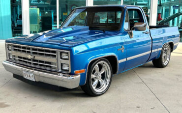 Chevrolet-Other-Pickups-Pickup-1981-Blue-Black-87387-9