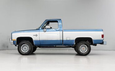 Chevrolet-Other-Pickups-Pickup-1981-Blue-Blue-708-2