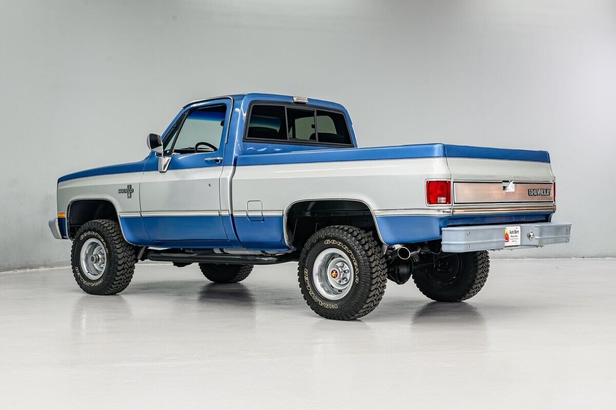 Chevrolet-Other-Pickups-Pickup-1981-Blue-Blue-708-3