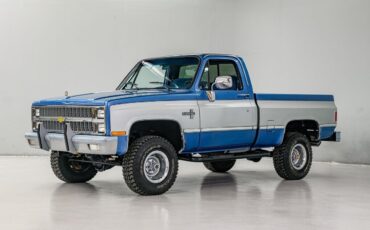 Chevrolet Other Pickups Pickup 1981