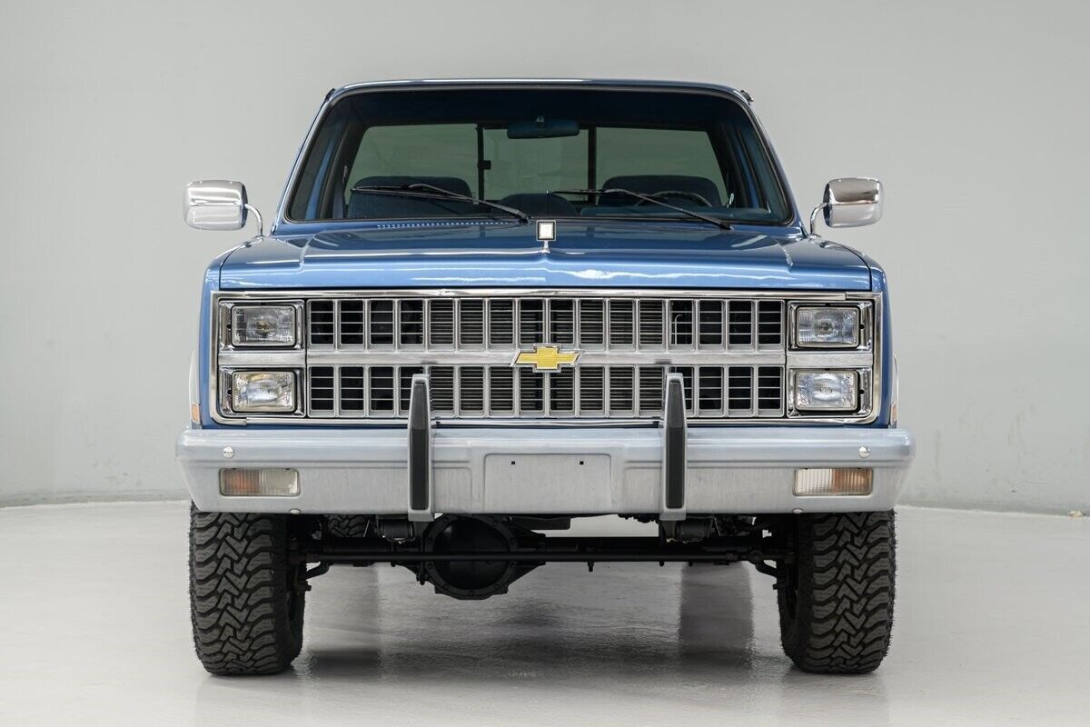 Chevrolet-Other-Pickups-Pickup-1981-Blue-Blue-708-4