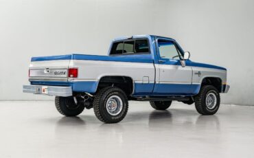 Chevrolet-Other-Pickups-Pickup-1981-Blue-Blue-708-6