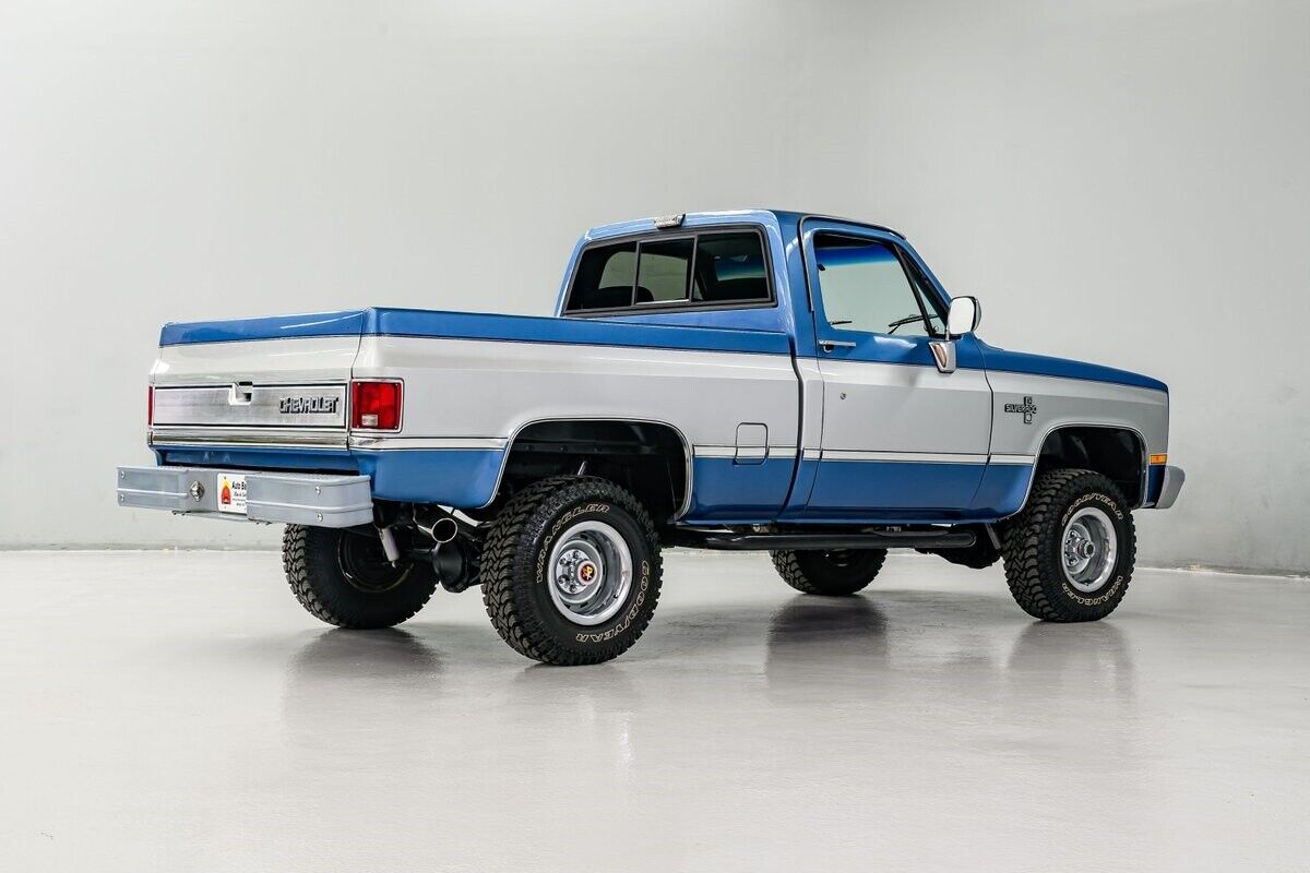 Chevrolet-Other-Pickups-Pickup-1981-Blue-Blue-708-6