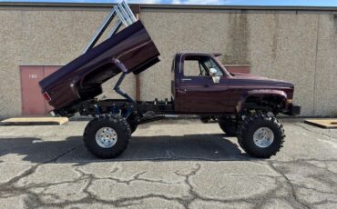 Chevrolet-Other-Pickups-Pickup-1981-Red-Gray-20584-6