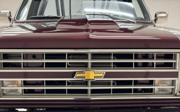 Chevrolet-Other-Pickups-Pickup-1981-Red-Gray-20584-9