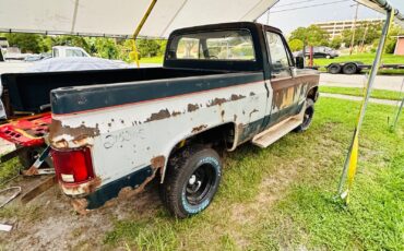 Chevrolet-Other-Pickups-Pickup-1983-Blue-Blue-5238-23