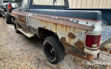 Chevrolet-Other-Pickups-Pickup-1983-Blue-Blue-5238-3